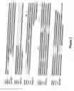 Fig. 02 - Methods of using mammalian RNase H and compositions thereof