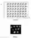 Fig. 03 - Device and method of detecting mutations and polymorphisms in DNA