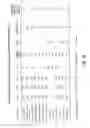 Fig. 24 - Novel manganese superoxide dismutase regulatory elements and uses therefore