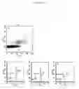 Fig. 16 - Optical sorting method