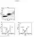 Fig. 17 - Optical sorting method