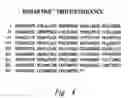 Fig. 07 - Identification of the gene causing the mouse scurfy phenotype and its human ortholog