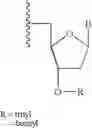 Fig. 13 - Arrays for detecting nucleic acids