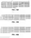 Fig. 20 - Proteins producing an altered immunogenic response and methods of making and using the same