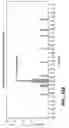 Fig. 22 - Proteins producing an altered immunogenic response and methods of making and using the same