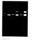 Fig. 01 - Rapid preparation of nucleic acids by enzymatic digestion