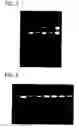 Fig. 02 - Rapid preparation of nucleic acids by enzymatic digestion