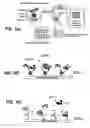 Fig. 12 - Method and system for rapid biomolecular recognition of amino acids and protein sequencing