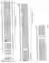 Fig. 02 - Single stranded DNA binding proteins from Archaea and uses therefor