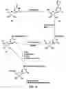 Fig. 07 - Nucleic acid labeling compounds