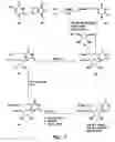 Fig. 08 - Nucleic acid labeling compounds