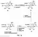 Fig. 09 - Nucleic acid labeling compounds
