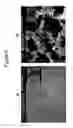 Fig. 07 - Mesoporous permeation layers for use on active electronic matrix devices