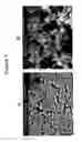 Fig. 08 - Mesoporous permeation layers for use on active electronic matrix devices