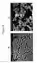 Fig. 09 - Mesoporous permeation layers for use on active electronic matrix devices