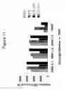 Fig. 12 - Mesoporous permeation layers for use on active electronic matrix devices