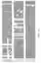 Fig. 03 - Assay employing G protein-coupled receptor expressed in dorsal root ganglia