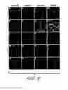 Fig. 20 - Assay employing G protein-coupled receptor expressed in dorsal root ganglia