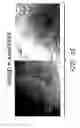 Fig. 29 - Assay employing G protein-coupled receptor expressed in dorsal root ganglia
