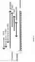 Fig. 09 - Computer software for sequence selection