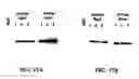 Fig. 45 - β-secretase enzyme compositions and methods