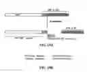 Fig. 47 - β-secretase enzyme compositions and methods