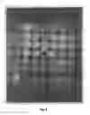 Fig. 04 - System for infrared spectroscopic imaging of libraries