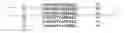 Fig. 07 - Beta-lactamase CD4+ T-cell epitopes