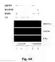 Fig. 07 - Antibodies that recognize and bind phosphorylated human androgen receptor and methods of using same