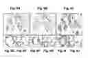 Fig. 09 - Antibodies that recognize and bind phosphorylated human androgen receptor and methods of using same