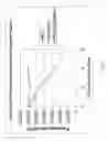 Fig. 27 - Luminogenic and nonluminogenic multiplex assay