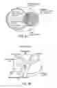 Fig. 20 - Systems, methods and kits for characterizing phosphoproteomes
