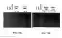 Fig. 44 - Beta-secretase enzyme compositions and methods