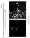 Fig. 04 - Method of detecting coliform bacteria and bacteria from reflected light