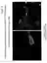 Fig. 09 - Method of detecting coliform bacteria and bacteria from reflected light