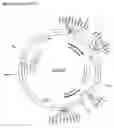 Fig. 06 - Methods and organisms for production of b6 vitamers