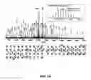 Fig. 04 - Compositions and methods for dehydration and cyclization of peptides, synthetic compounds, and lantibiotics