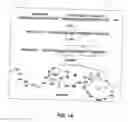 Fig. 13 - Compositions and methods for dehydration and cyclization of peptides, synthetic compounds, and lantibiotics