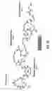 Fig. 19 - Compositions and methods for dehydration and cyclization of peptides, synthetic compounds, and lantibiotics