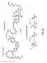 Fig. 20 - Compositions and methods for dehydration and cyclization of peptides, synthetic compounds, and lantibiotics