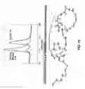 Fig. 33 - Compositions and methods for dehydration and cyclization of peptides, synthetic compounds, and lantibiotics