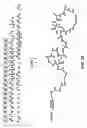 Fig. 37 - Compositions and methods for dehydration and cyclization of peptides, synthetic compounds, and lantibiotics