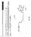 Fig. 47 - Compositions and methods for dehydration and cyclization of peptides, synthetic compounds, and lantibiotics