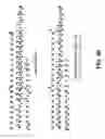 Fig. 48 - Compositions and methods for dehydration and cyclization of peptides, synthetic compounds, and lantibiotics