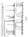 Fig. 49 - Compositions and methods for dehydration and cyclization of peptides, synthetic compounds, and lantibiotics