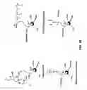 Fig. 57 - Compositions and methods for dehydration and cyclization of peptides, synthetic compounds, and lantibiotics
