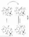 Fig. 59 - Compositions and methods for dehydration and cyclization of peptides, synthetic compounds, and lantibiotics
