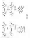 Fig. 61 - Compositions and methods for dehydration and cyclization of peptides, synthetic compounds, and lantibiotics