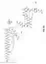 Fig. 63 - Compositions and methods for dehydration and cyclization of peptides, synthetic compounds, and lantibiotics