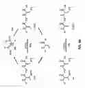 Fig. 66 - Compositions and methods for dehydration and cyclization of peptides, synthetic compounds, and lantibiotics